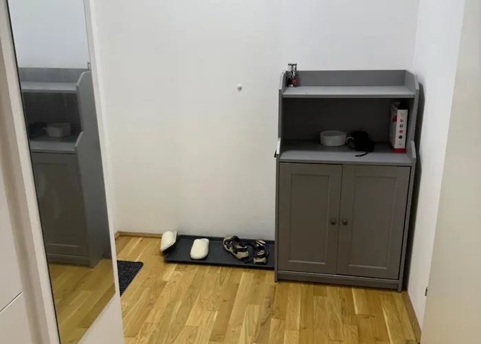 Nima's Modern Apartment Vienna